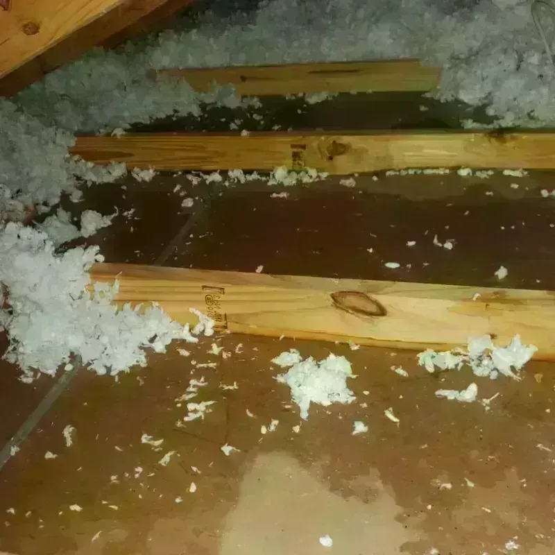 Attic Water Damage in Beaumont, CA