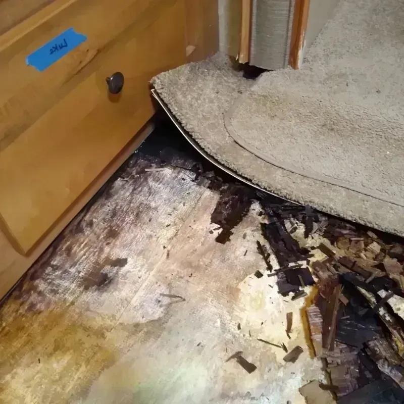 Wood Floor Water Damage in Beaumont, CA